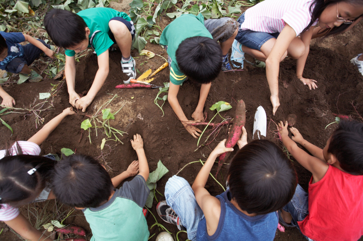 How Does Your Garden Grow?  Researchers say outdoor gardens get kids moving 