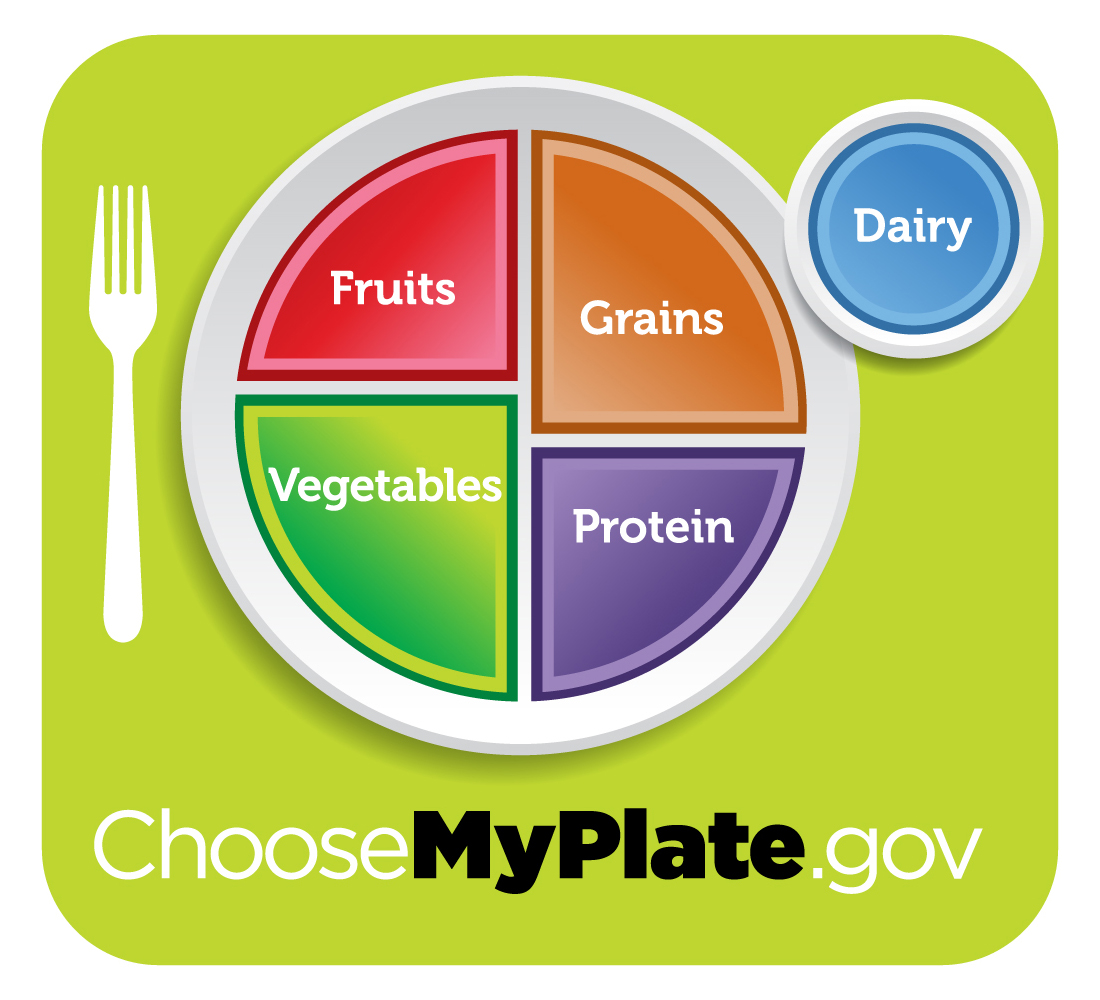 Image result for school nutrition plate